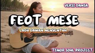 {FEOT MESE}{COVER TIMOR SOUL PROJECT}MUSIK TIMOR PROJECT}