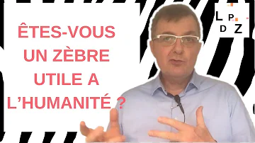 Comment fonctionne un zèbre ?