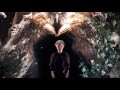 Wallis Bird - Control