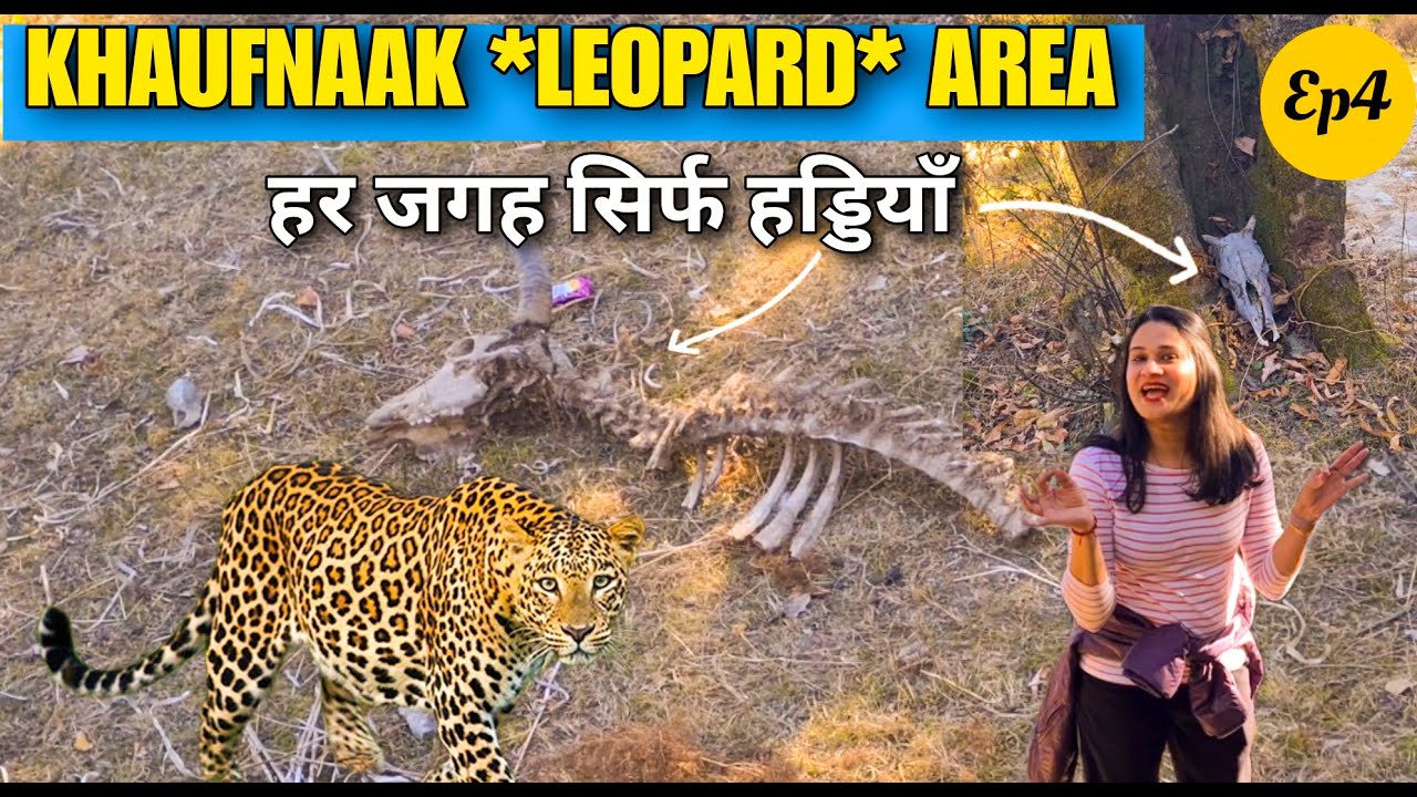 TREK TO LEOPARD PRONE AREA 🐆 BONES & SKULLS EVERYWHERE  *Not for Faint Hearted* Road Drive