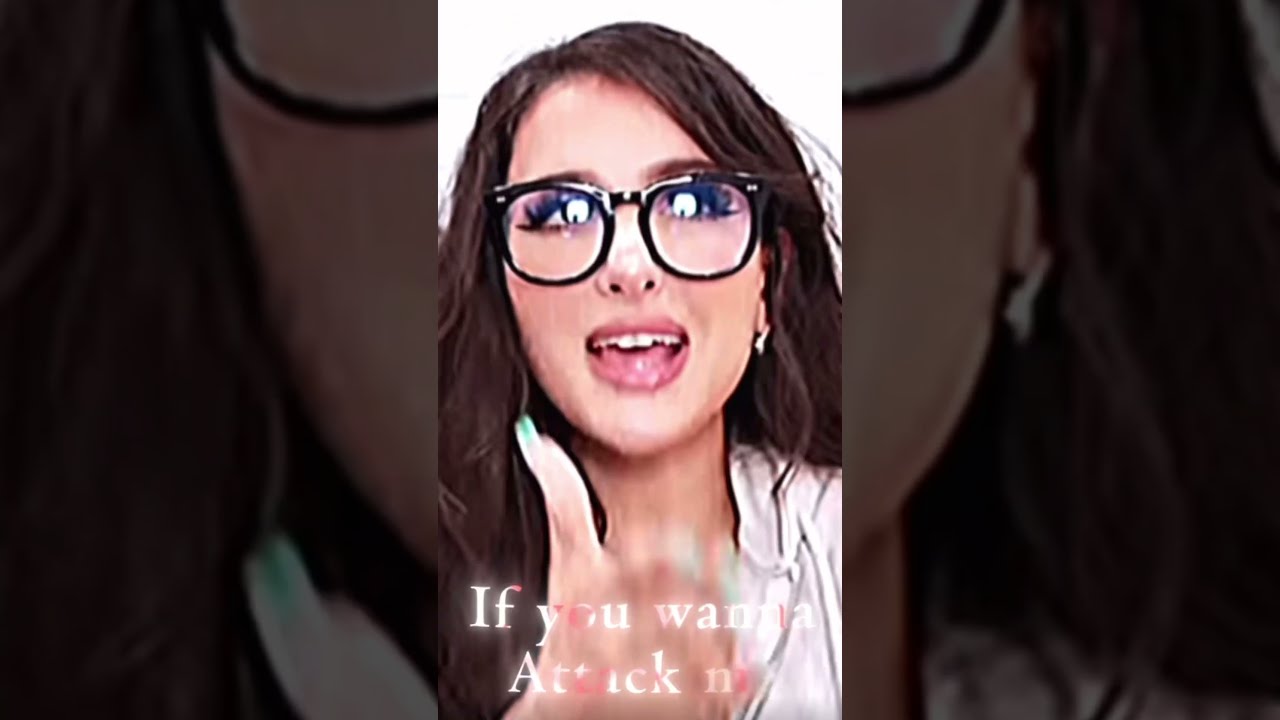 Vegan Teacher Vs Sssniperwolf
