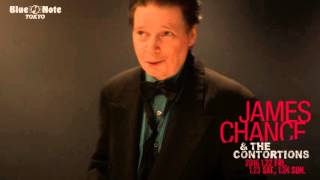 JAMES CHANCE - ジェームス・チャンス｜ARTISTS｜BLUE NOTE TOKYO