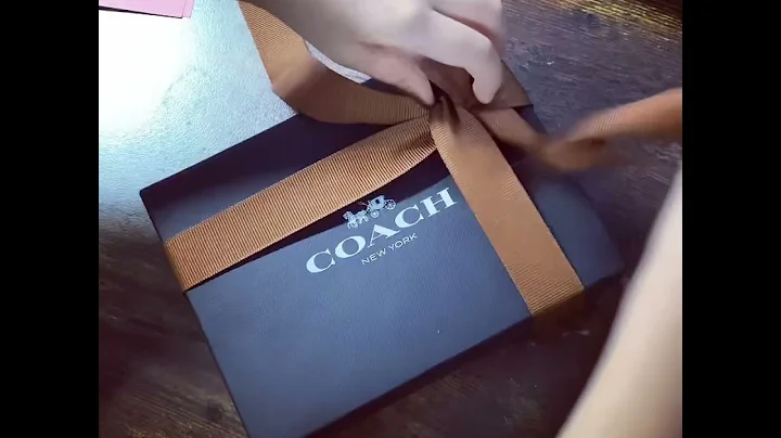 Coach passport wallet