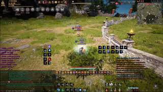 Bdo 272Ap Witch Vs 407Dp Wizard 17.07.2018