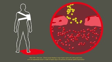 Celox Granules Training Video – Military emergency response (CE regions)