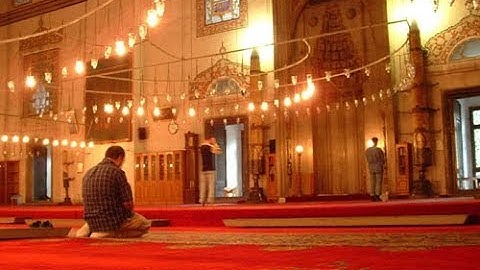 الشيخ أبوبكر مومني صلاة التراويح 23 رمضان 1438 هـ_ ما تيسر من سورة الفتح والحجرات 3