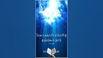 تلك أمة قد خلت لها ما كسبت ولكم ما كسبتم ولا تسألون عما كانوا يعملون -سورة البقرةآية 134صوت المنشاوي
