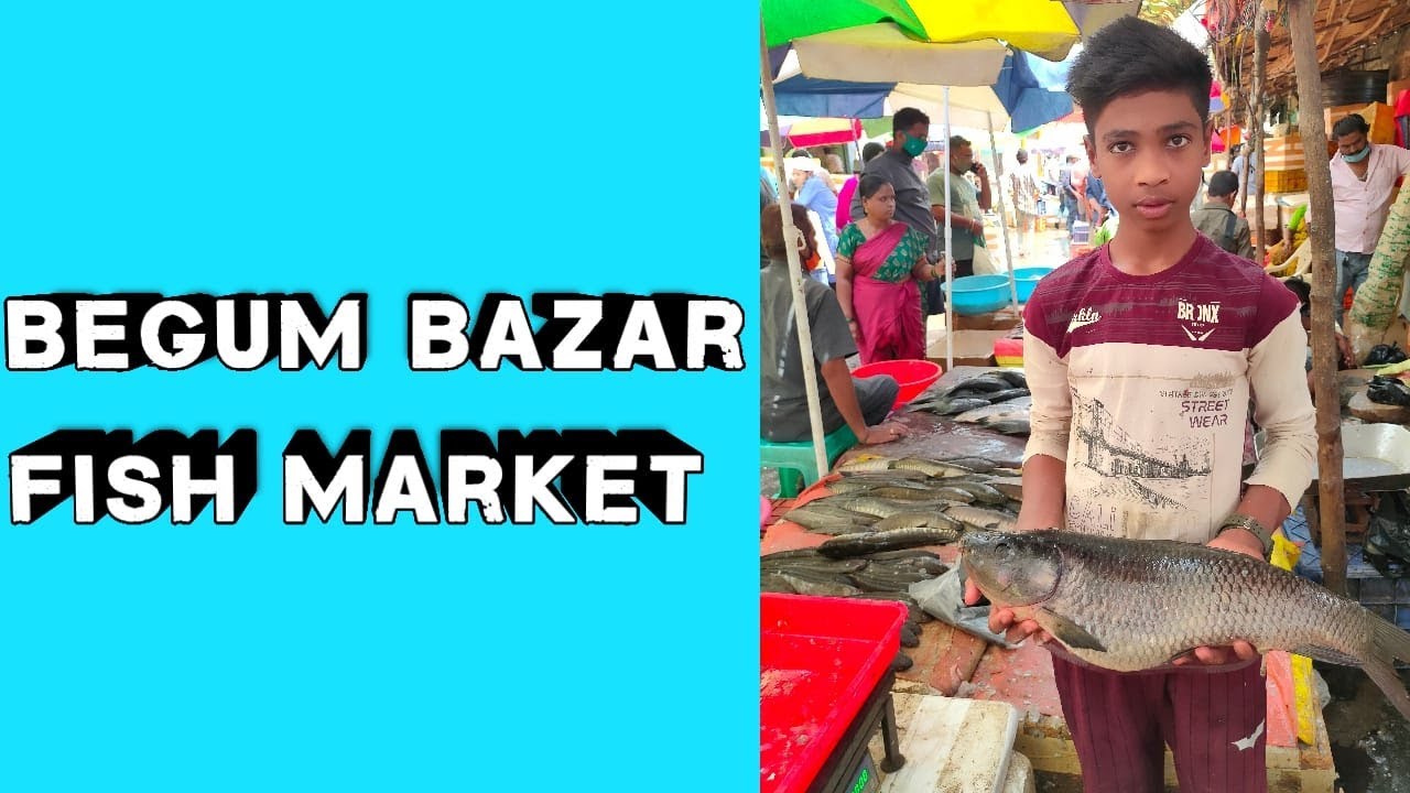 Begum Bazar Fish Market YouTube