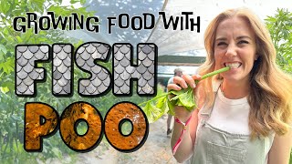 Fish POO grew this DELICIOUS food!? | Maddie Moate