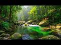 Tropical River Sounds at Night 🌙 Deep Sleep Nature Ambience LIVE 24/7