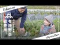 【お取り寄せ 野菜】新鮮なお取り寄せ野菜はおき農園からの宅配で！【FOODBUZZ】