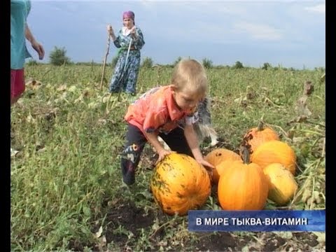 Очень солидная и пузатая.