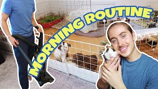 MORNING ROUTINE WITH 12 GUINEA PIGS! 🐽 ✨ | VLOG