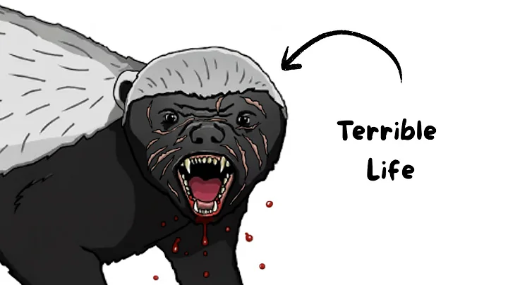 Why It Sucks to Be Born as a Honey Badger