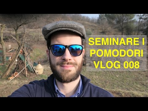 Video: Cosa Seminare A Febbraio: Melanzane, Peperoni O Pomodori?