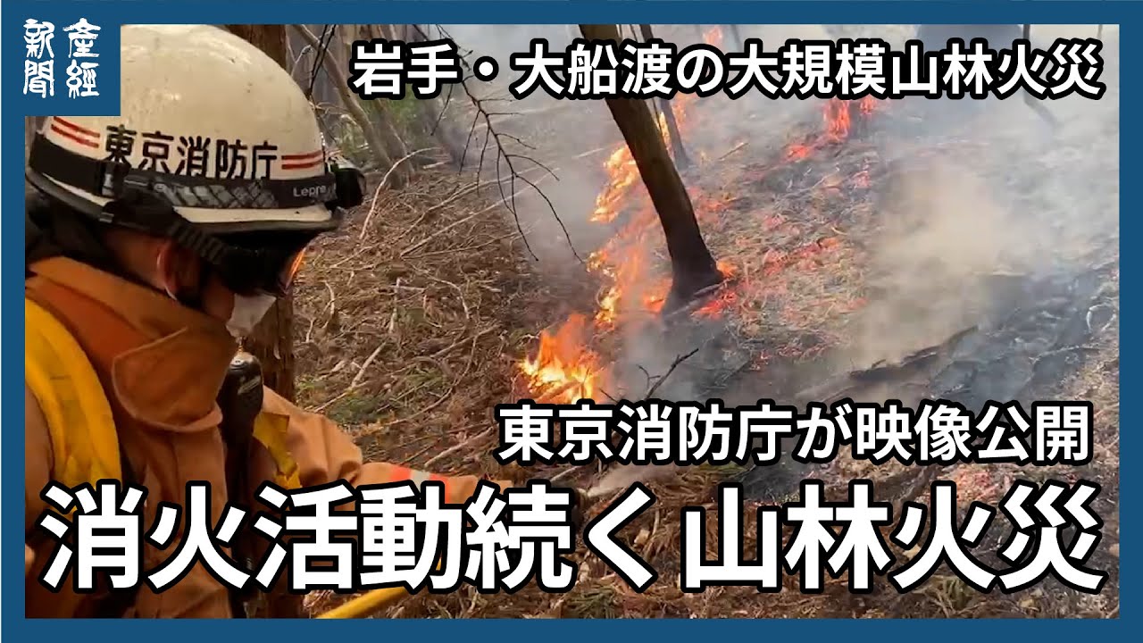岩手・大船渡市の大規模山林火災　続く消火活動　東京消防庁が動画公開