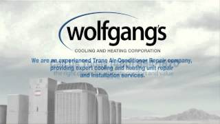 Famous Trane Extreme Condition Testing - Projectiles! Wealth