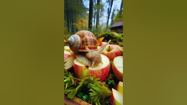Siput Sedang Menikmati Makanannya #Watunyailpeal #animal #shorts