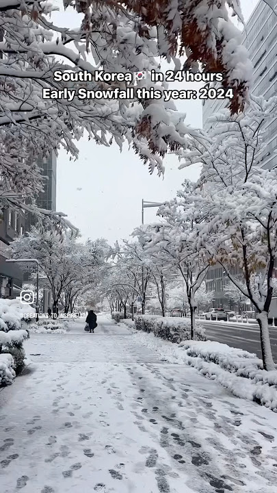 24hrs Snow in KOREA 🇰🇷 | Winter in Seoul #shorts #korea #minivlog #visitkorea