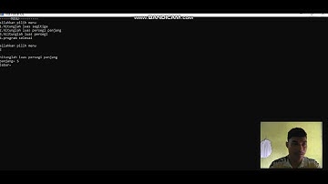 program pascal luas segitiga, luas persegi panjang 💪