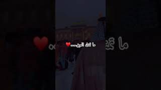 تصميم حساس مجروحه ستوري حزين حبك يبو حسنين جنه ستوري جميل عله مام الحسين ع