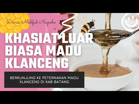 LUAR BIASA... !! Khasiat Madu Klanceng yang belum anda Tahu | 1000 Manfaat & obat berbagai penyakit)