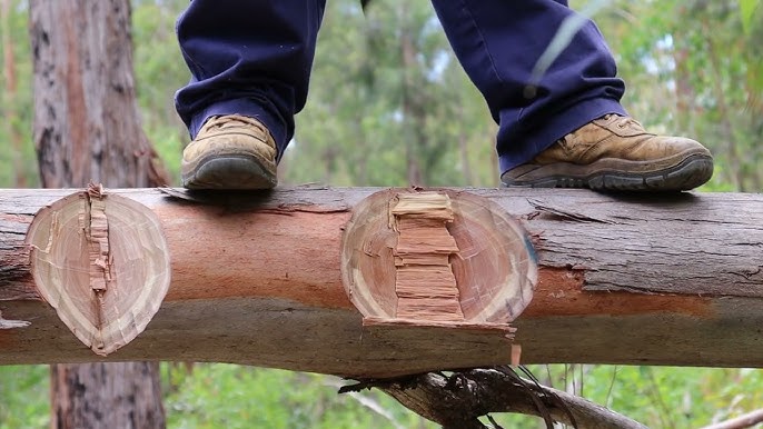Axe Wedge Lumber - YouTube
