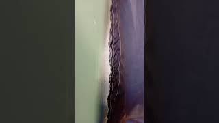 как продвигается ремонт в школе