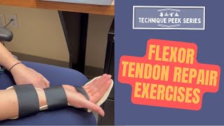 Flexor Tendon Repair Early Active Motion Exercises  |  Technique Peek Series