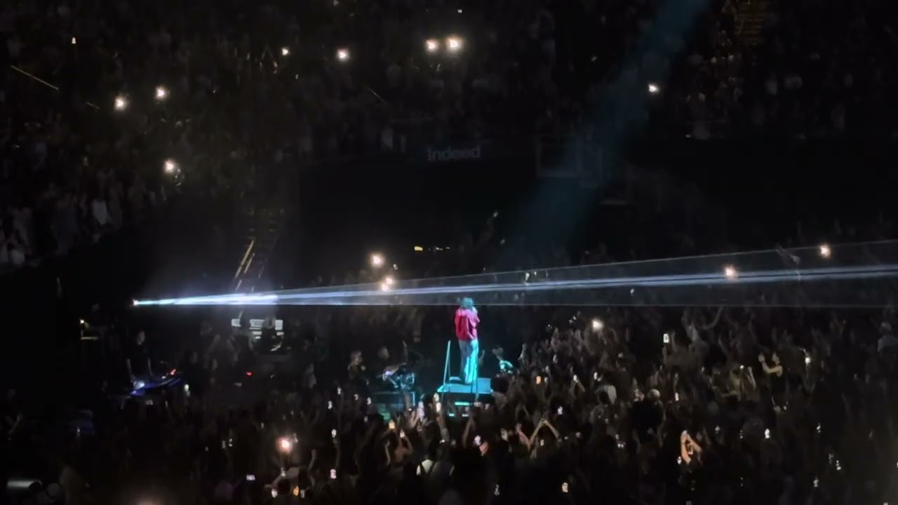 Lorde - Ribs (ATX) Ultrasound Tour