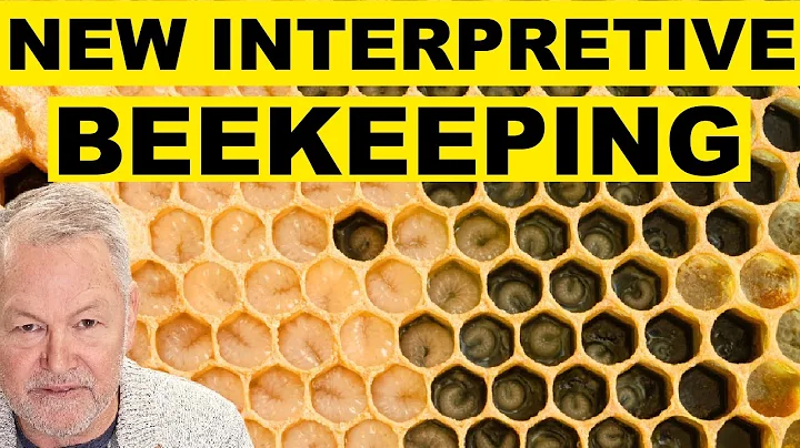 Beekeeping: How To Move Beyond Basic Beekeeping