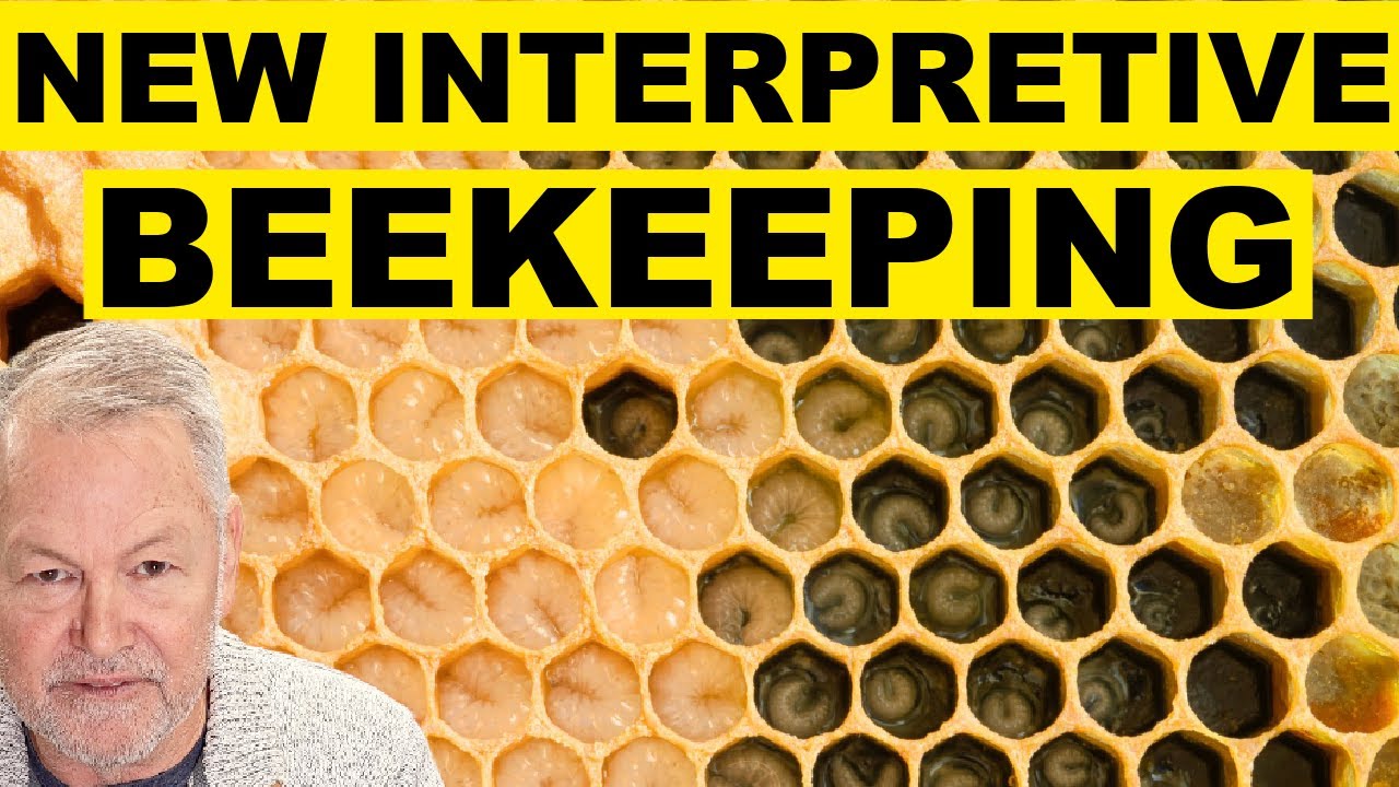 Beekeeping: How To Move Beyond Basic Beekeeping - YouTube