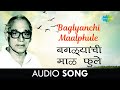 Baglyanchi Maalphule | Audio | बगळ्यांची माळ फुले | Dr. Vasantrao Deshpande | Shrinivas Khale