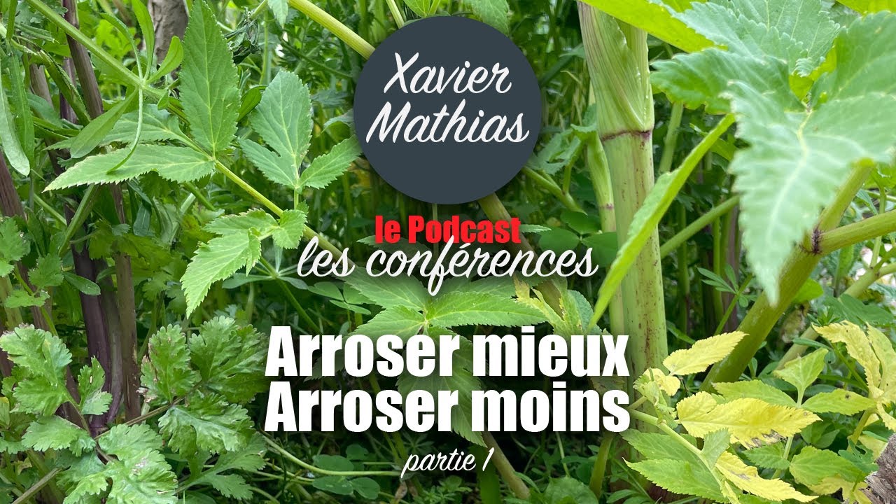 Podcast audio ! Arroser mieux, arroser moins ! Partie 1