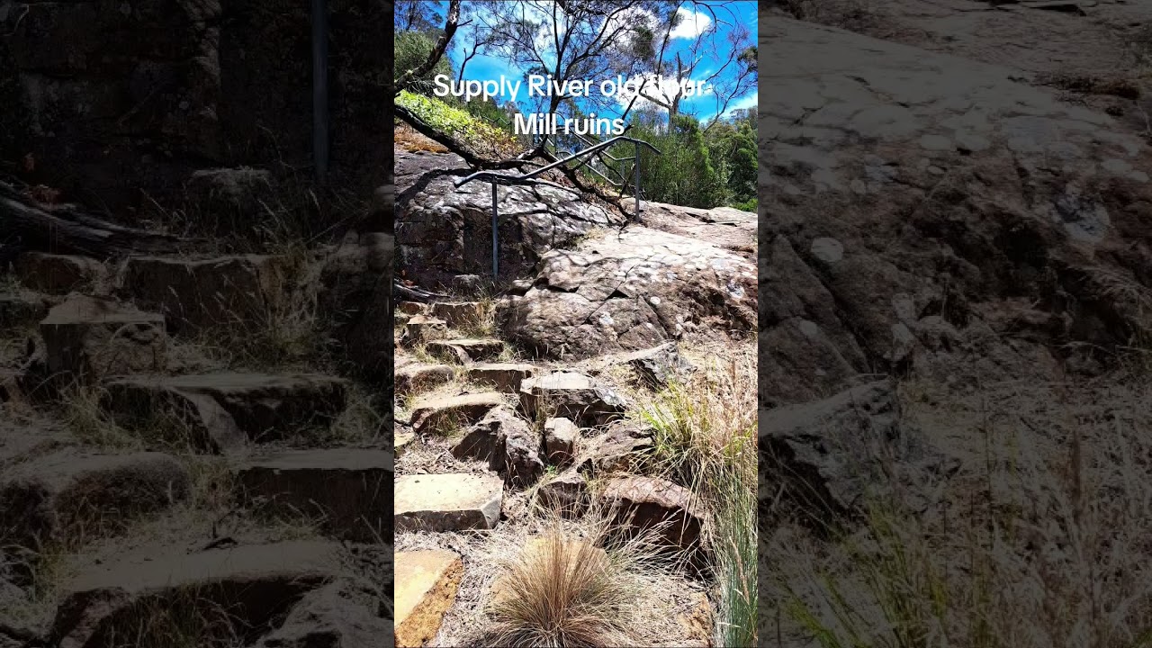 Ruins of the first water driven flour mill in Tasmania built 