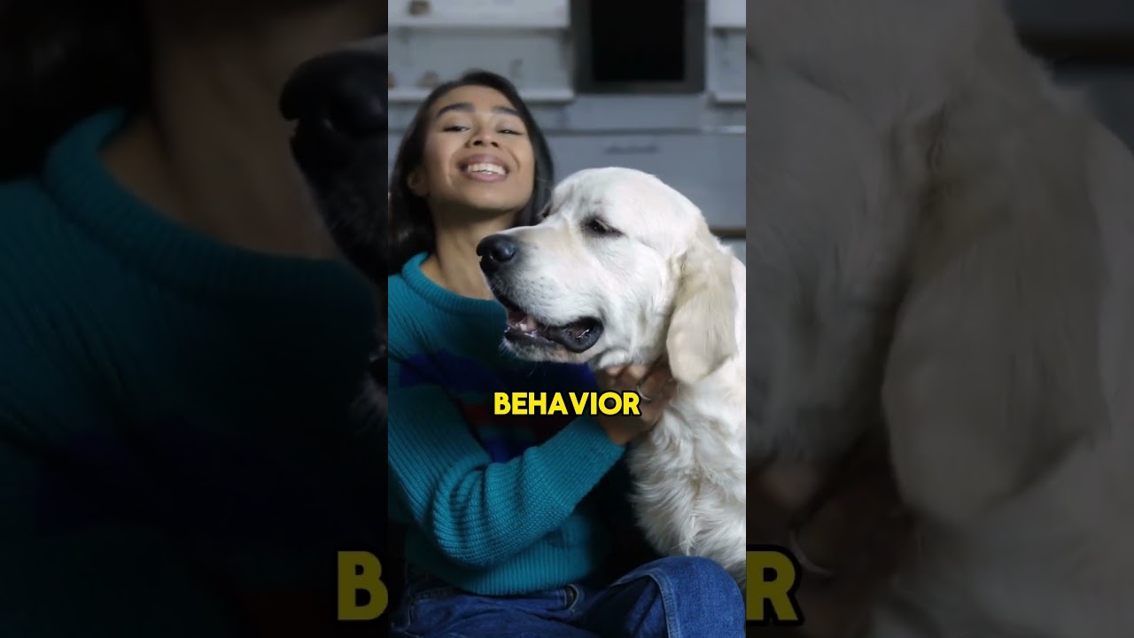 Dog Can Read Our Body Language  