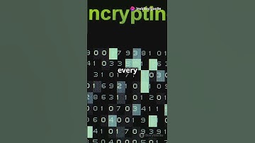 Privacy Coins: Monero & Zcash Explained! #cryptocurriences #cryptocurrency #crypto