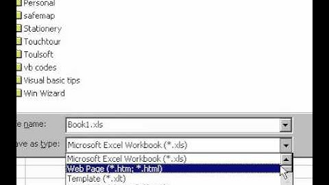 Microsoft Office Excel 2000 Save workbook in alternative formats