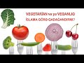 Vegetarian və ya veqan olmaq İslama ziddirmi?