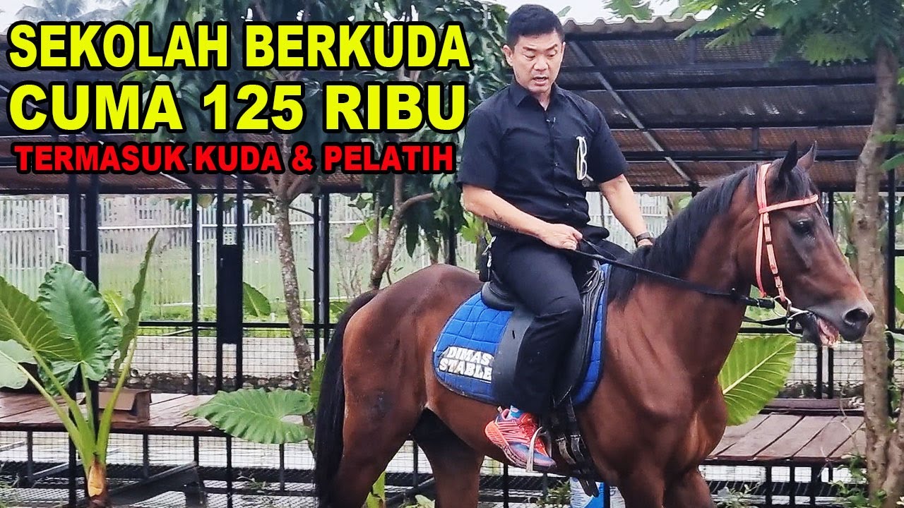 SEKOLAH BERKUDA CUMA 125K - TERMASUK KUDANYA YAAAA