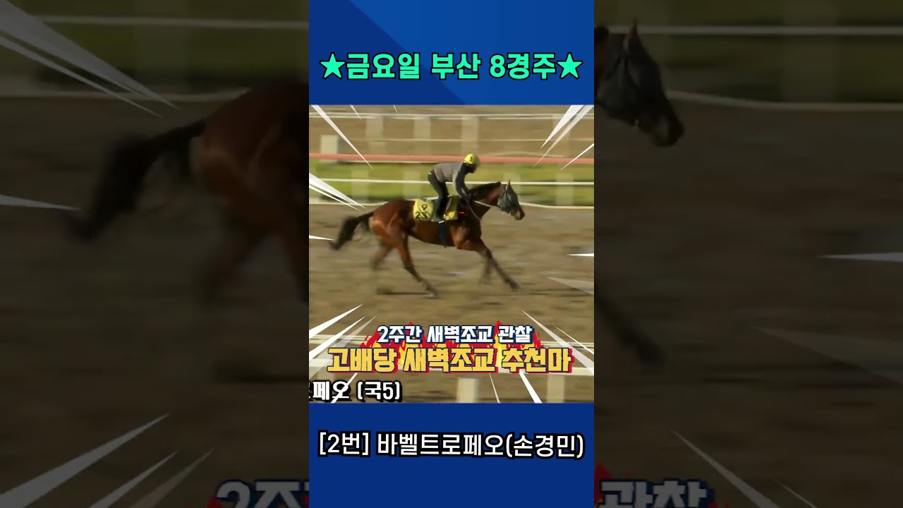 6월5일 금요일 부산 8경주!! 2주간 훈련보인 강백호의 새벽조교 쏘스마!!