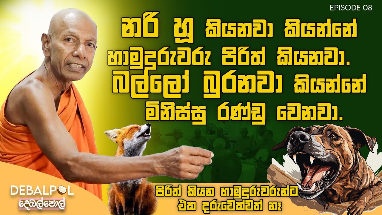 නරි හූ කියනවා කියන්නේ හාමුදුරුවෝ පිරිත් කියනවා, බල්ලෝ  බුරනවා කියන්නේ මිනිස්සු රණ්ඩු වෙනවා. #history