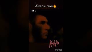 ГРУППА КИНО КОНЦЕРТ 1988☀Виктор Цой☀Живой звук🔥☀👍