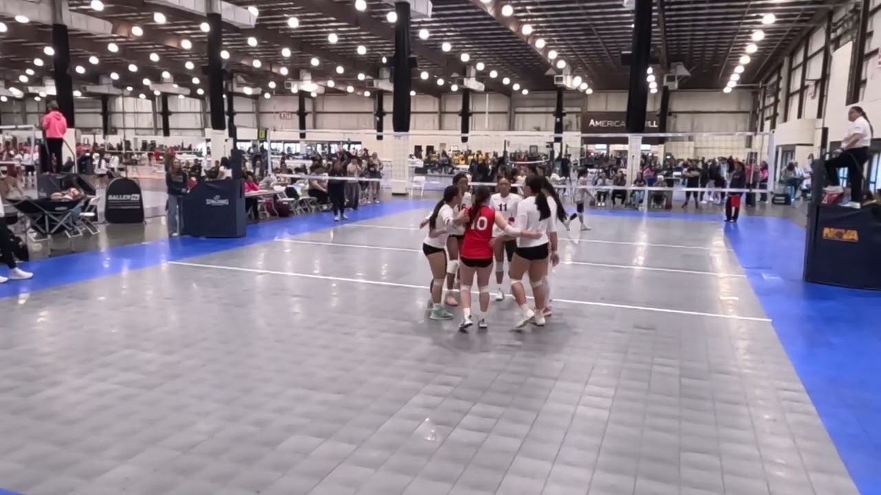 Tropical Touch 15 vs BAVC 15 Gold