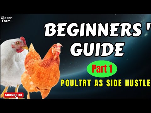 How to Start a Profitable Poultry Farm as a Side Hustle: Complete ...