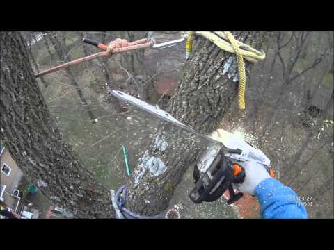 Climbing 90 ft. Ash removal