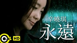 辛曉琪 Winnie Hsin【永遠 Forever】八大韓劇「秘密情人」主題曲 Official Music Video