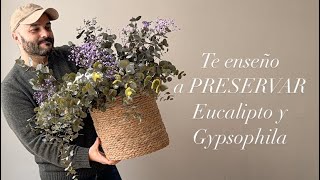 Cómo preservar flores de gypsophila y eucalipto