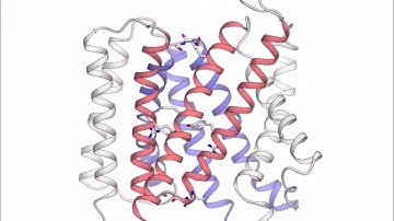 Transporting phosphate