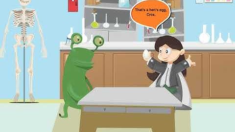 Incredible Science Class 4-Chapter 8-Page Number 76